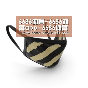 成人布口罩